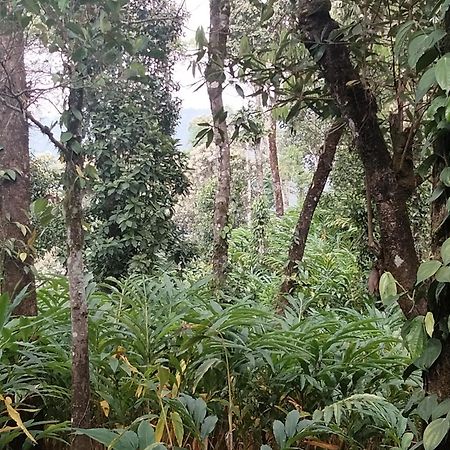 Spice Green Residency Pirmed Luaran gambar